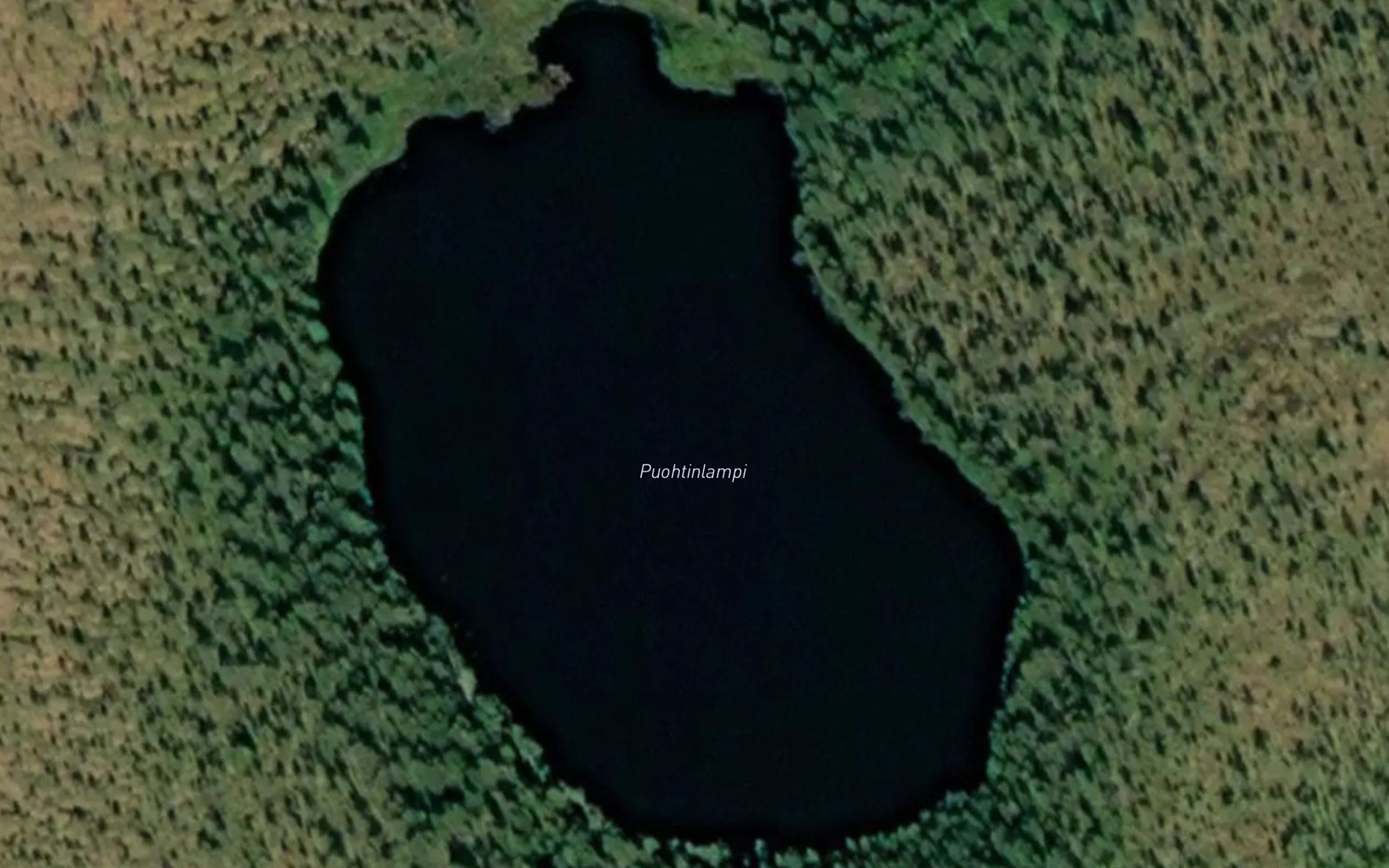 Puohtiinlampi