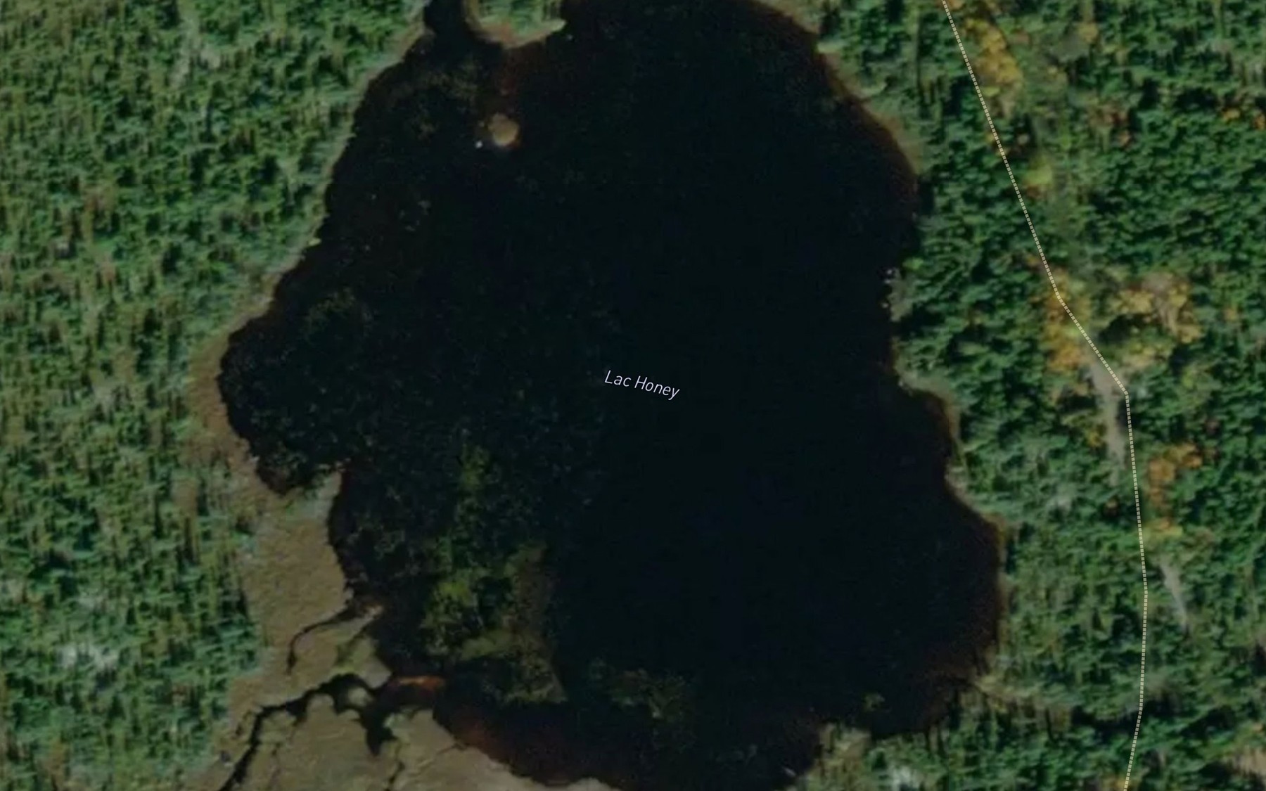 Satellite map of the Lac Honey