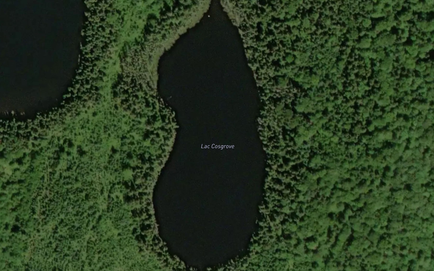 Satellite map of the Lac Cosgrove