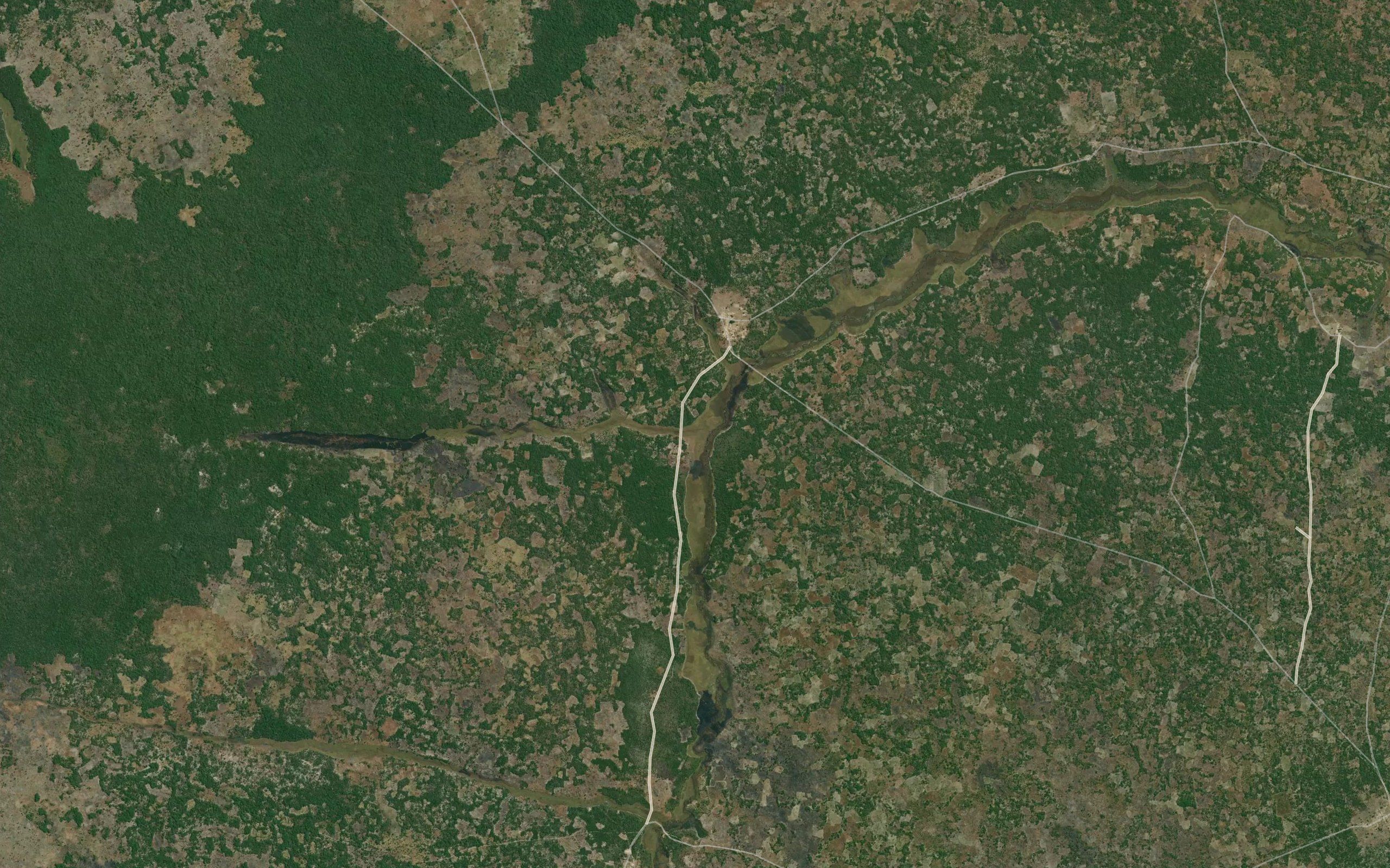 Icolongozo