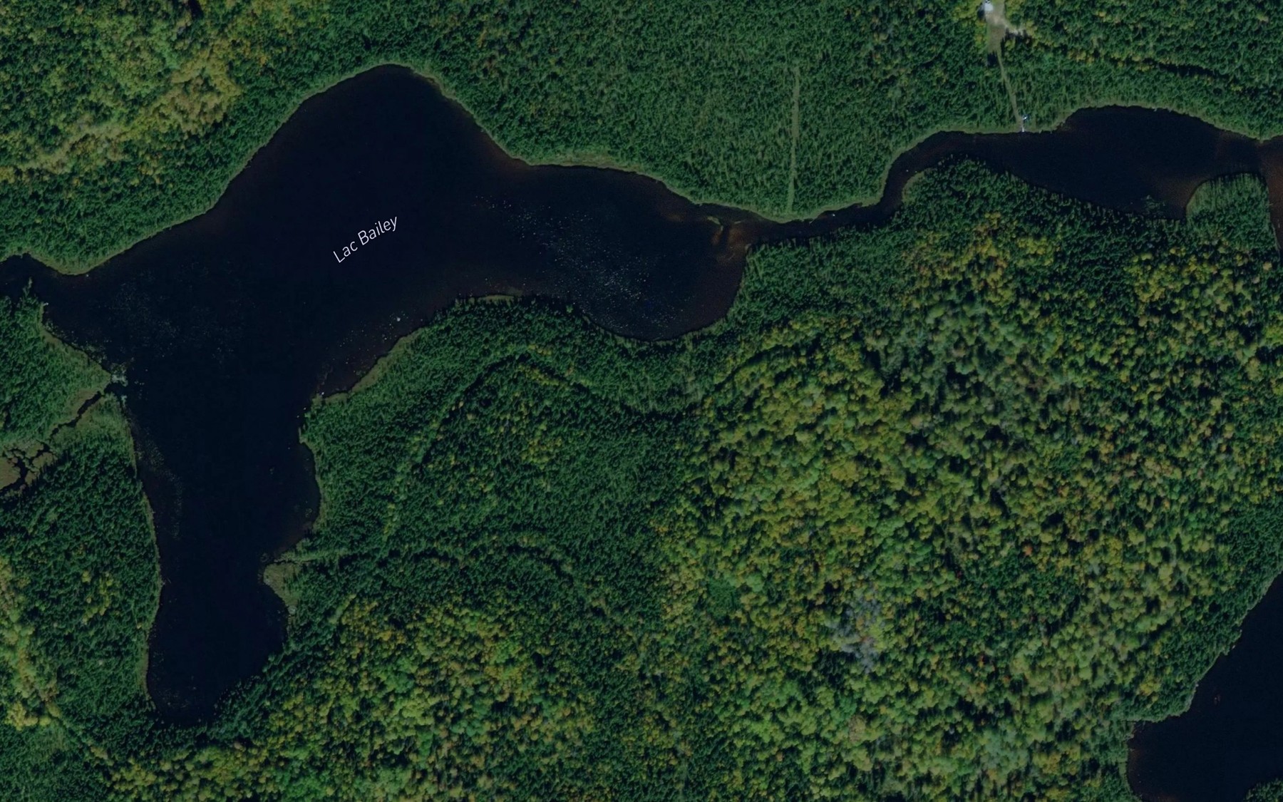Satellite map of the Lac Bailey
