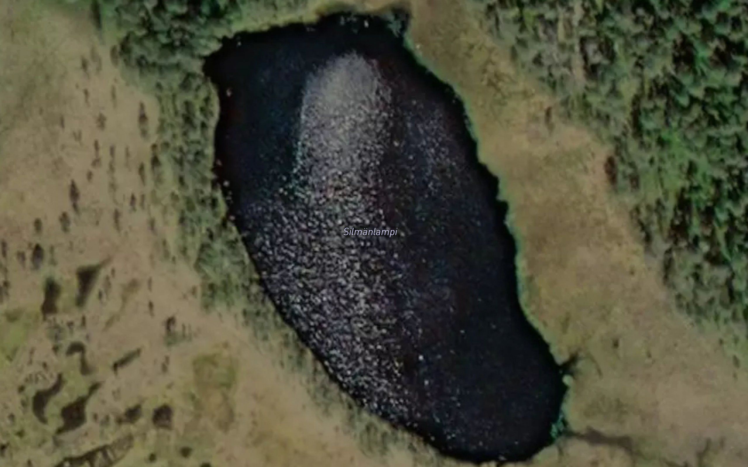 Silmanlampi