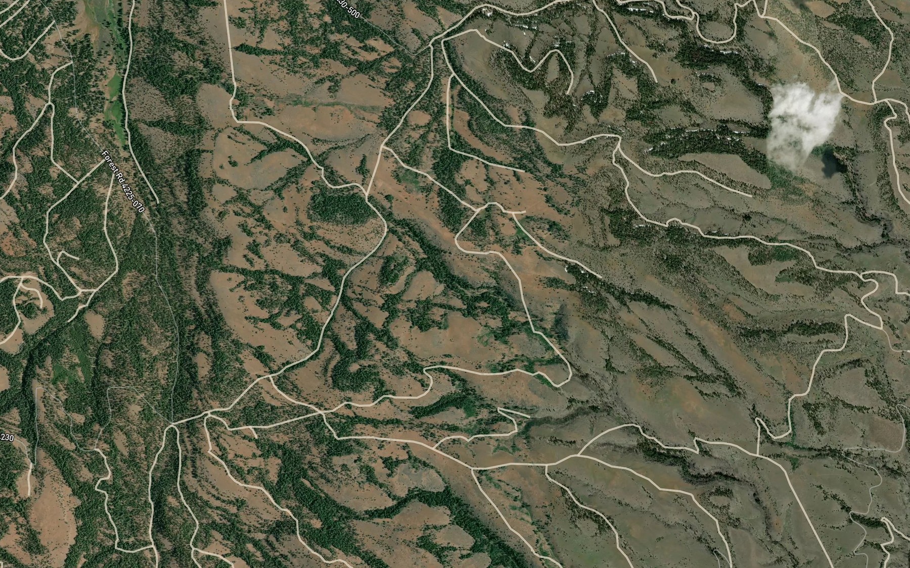 Satellite map of the Rough Spring