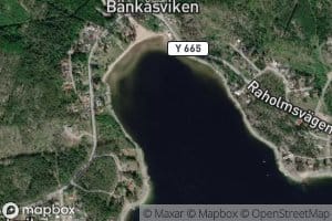 Bankasviken