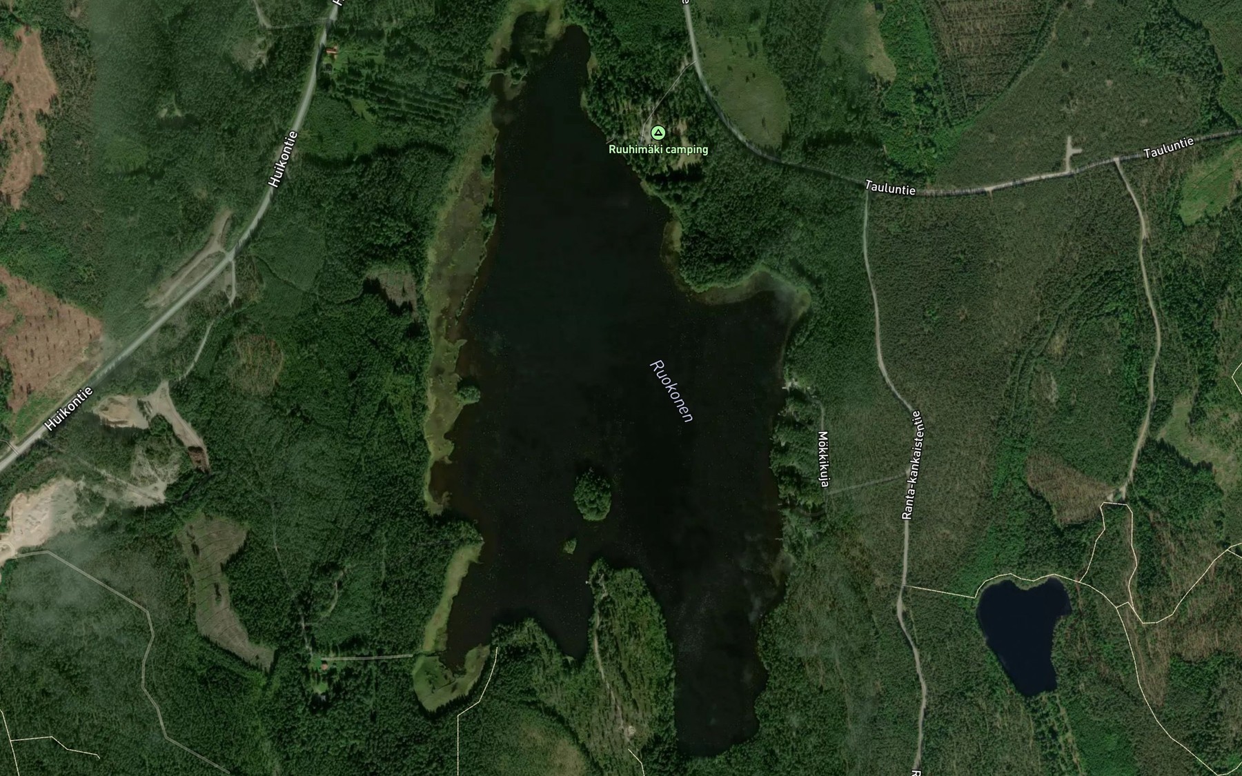 Satellite map of the Ruokonen
