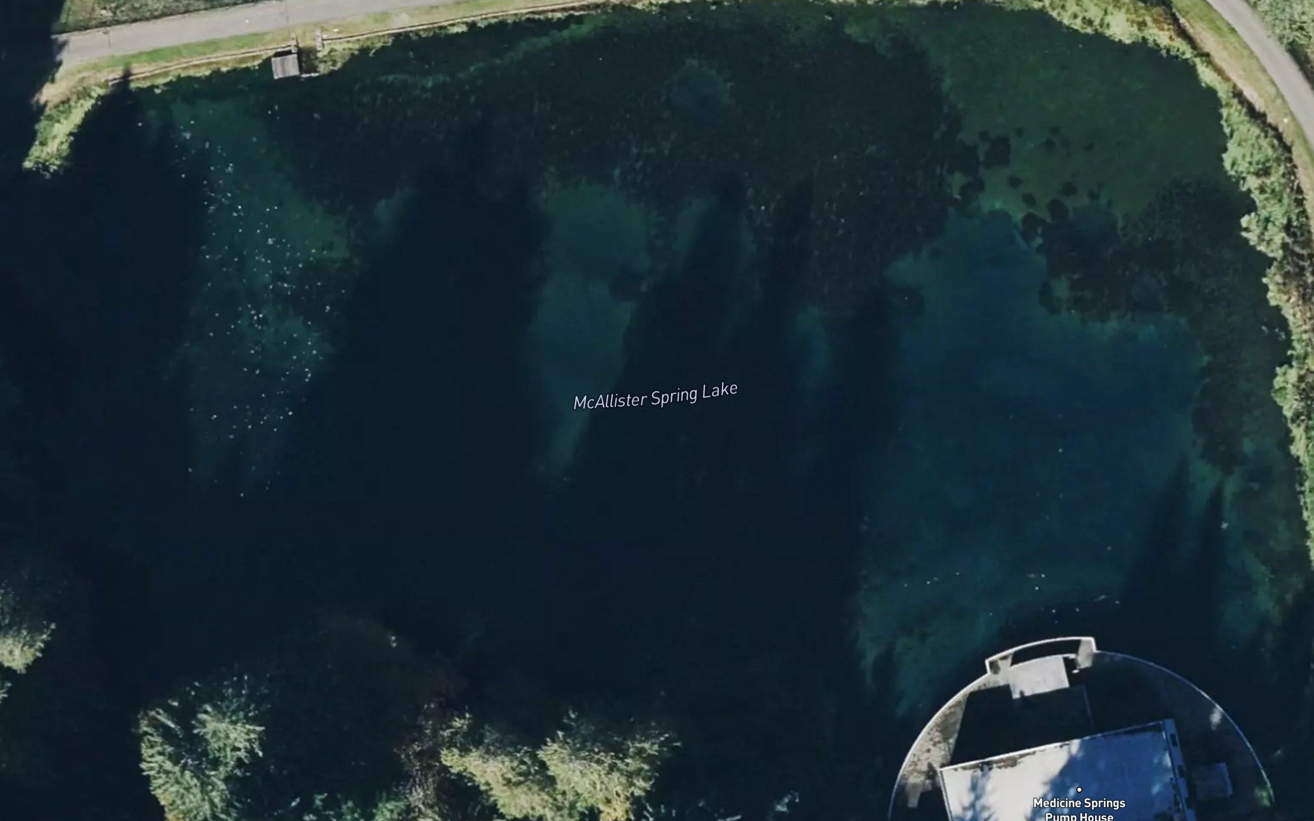 McAllister Spring Lake