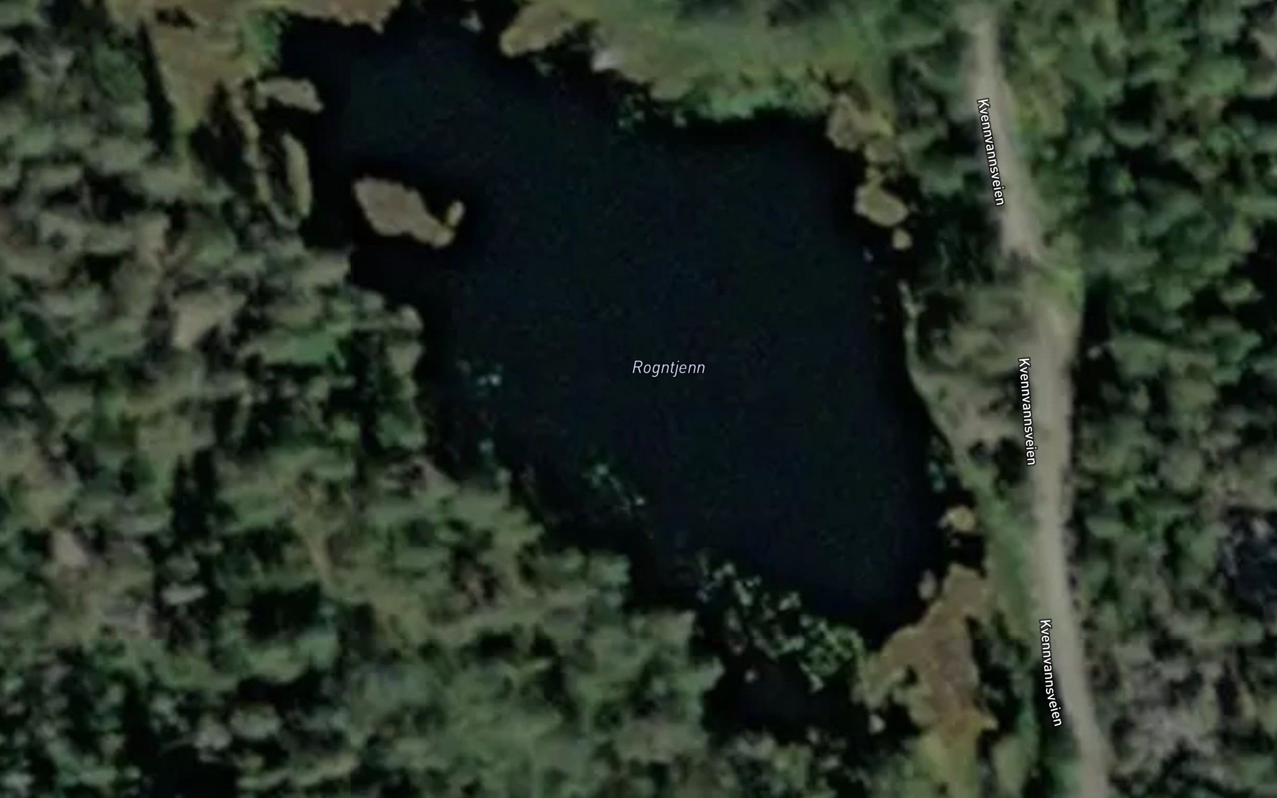 Rogntjern