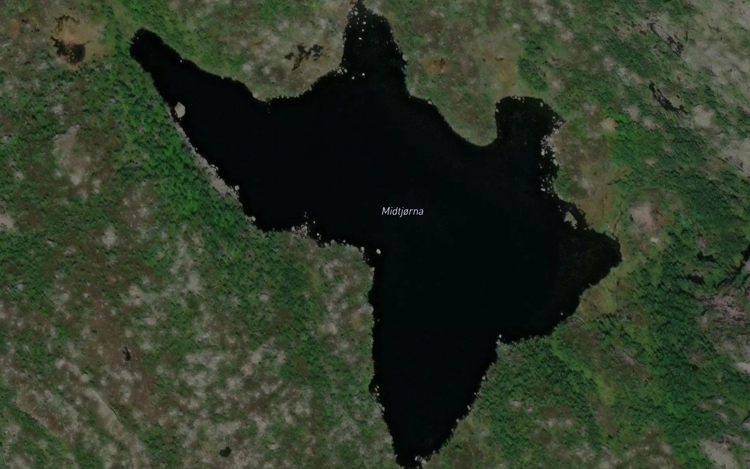 Midtjorna
