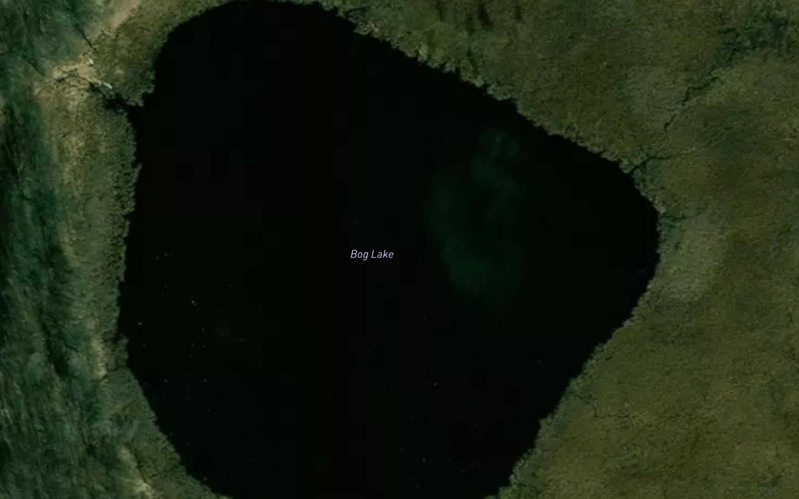 Bog Lake