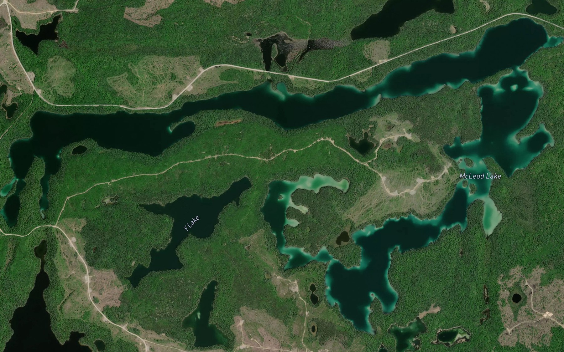 Satellite map of the McLeod Lake