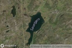 Sauetjorn