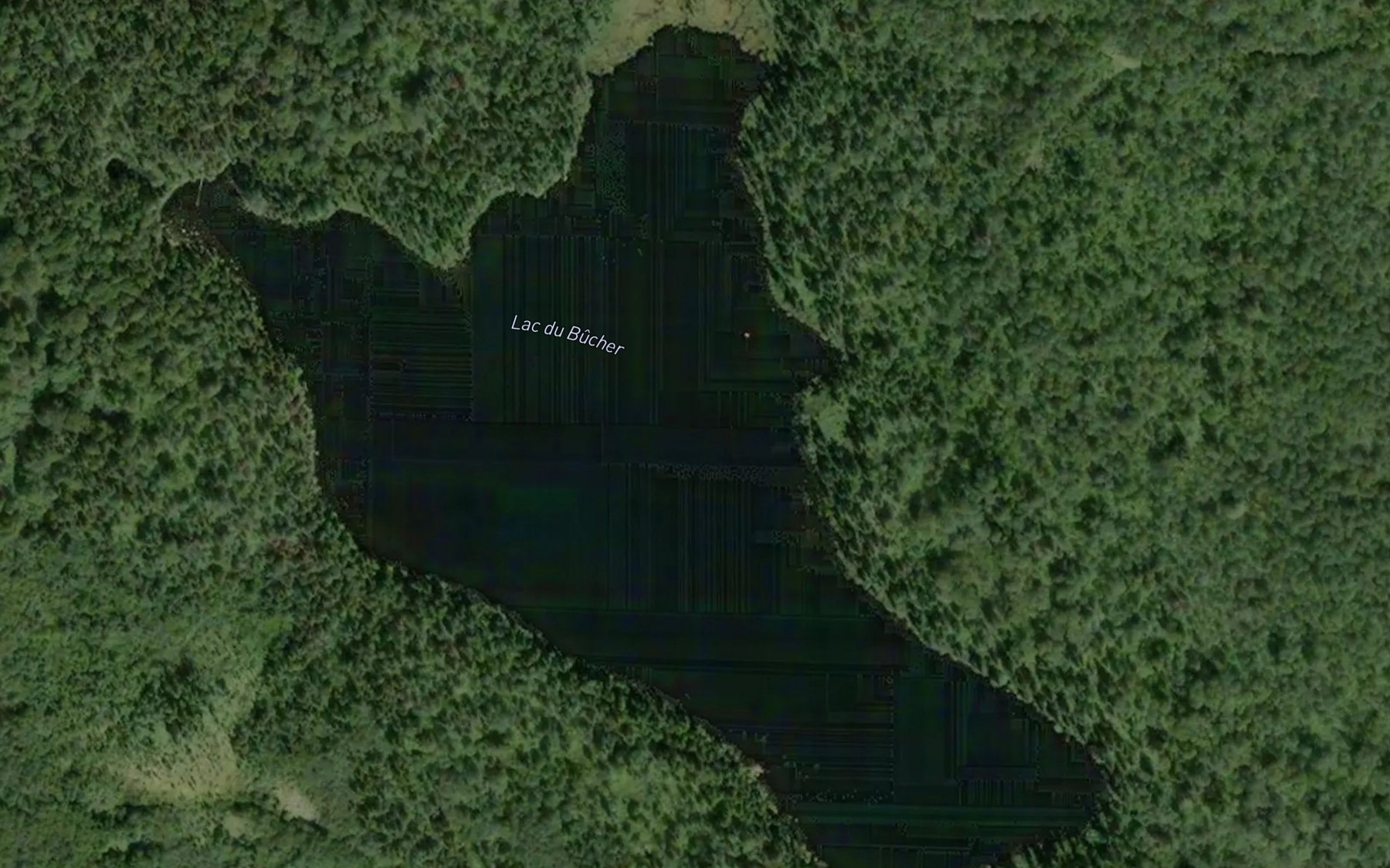 Satellite map of the Lac du Bucher