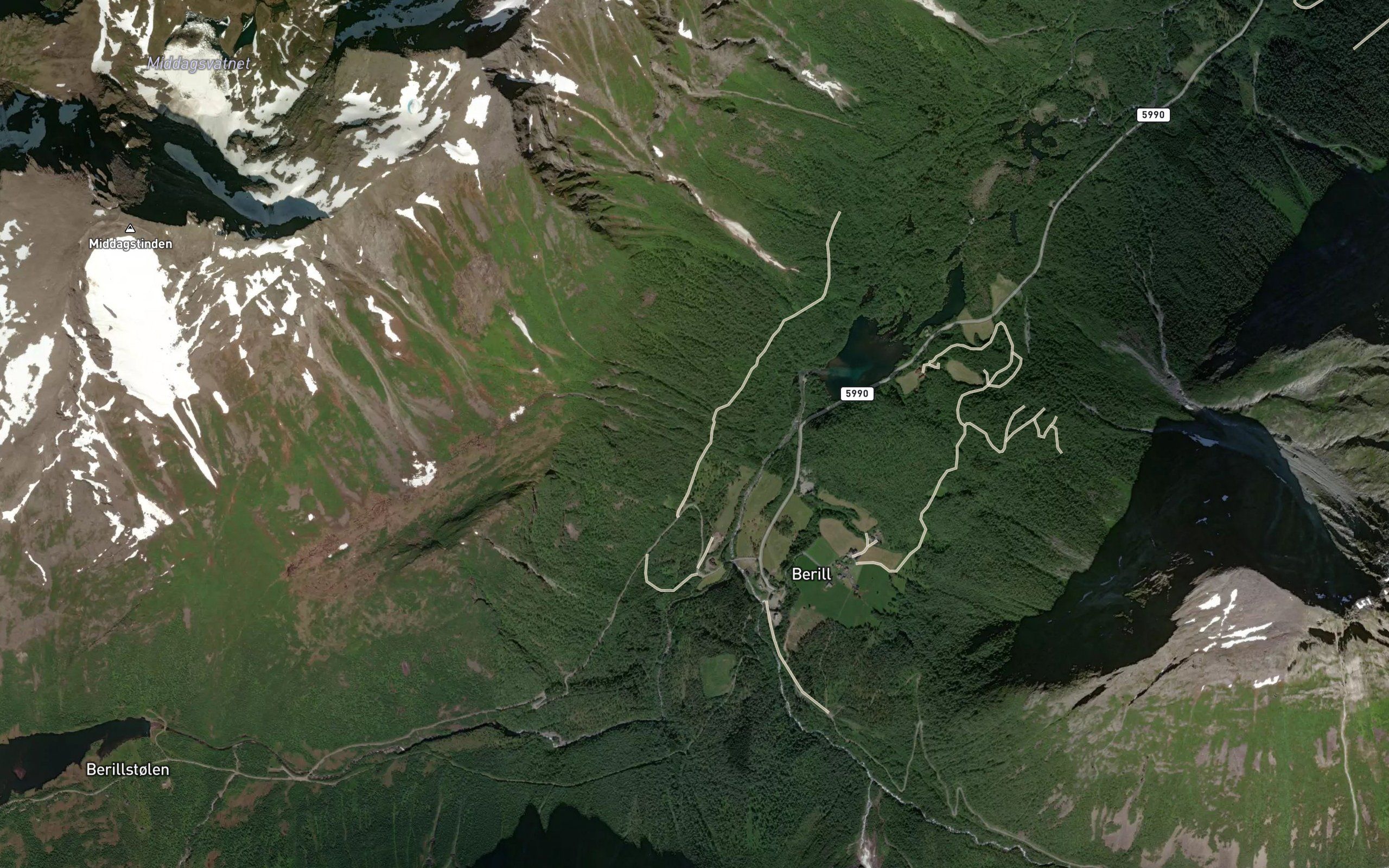 Fremste Kinnagrova