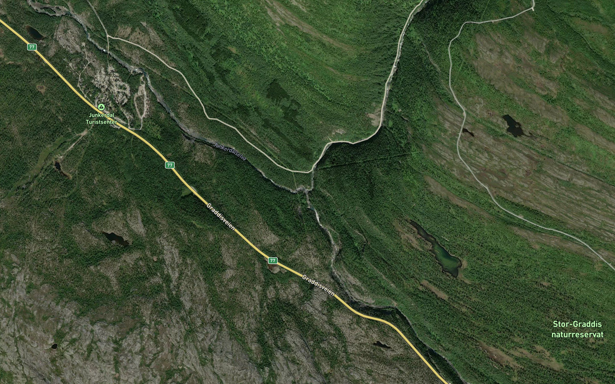 Skaitielva