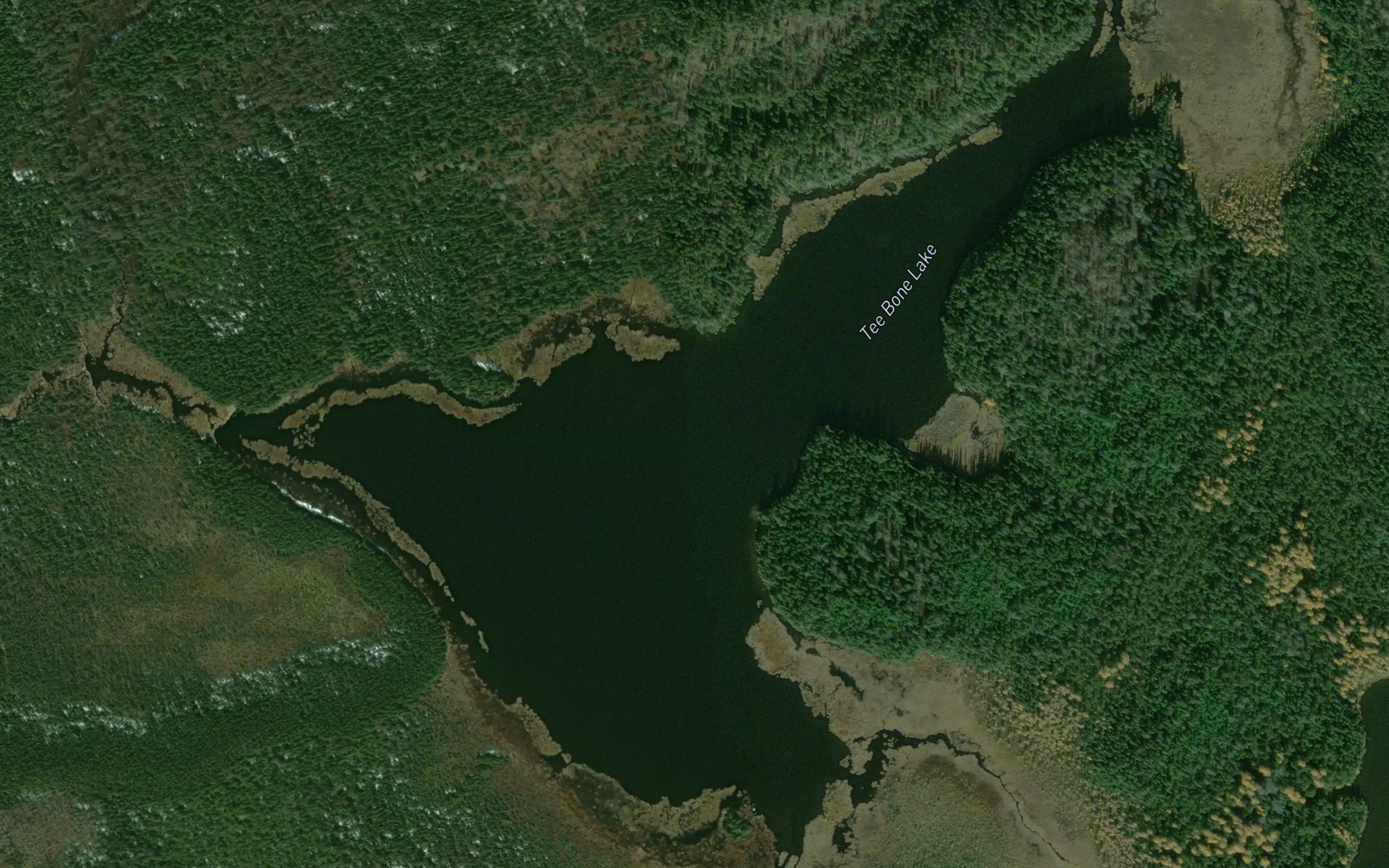 Satellite map of the Tee Bone Lake