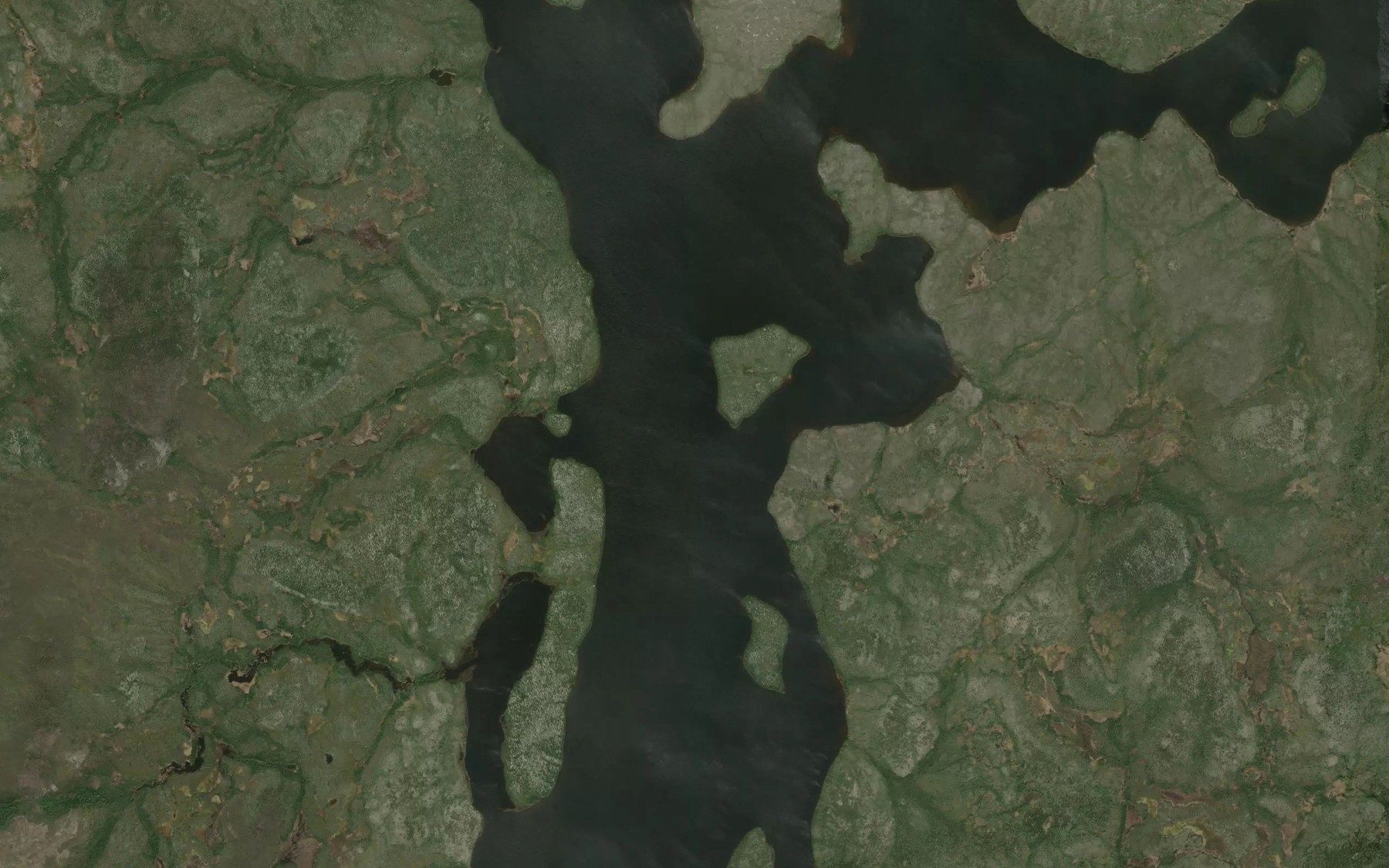 Satellite map of the Murdock Lake