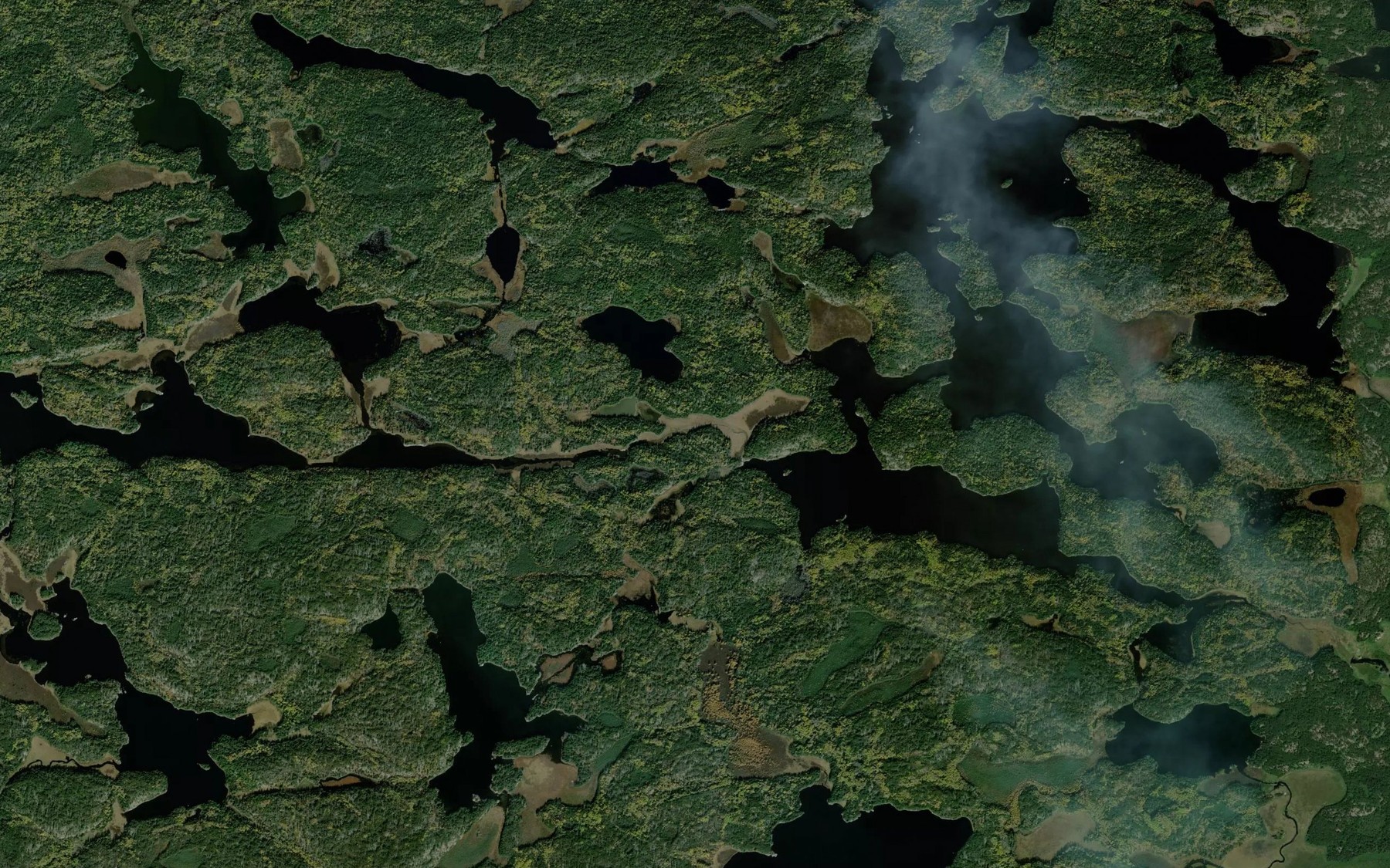 Satellite map of the Gale Creek