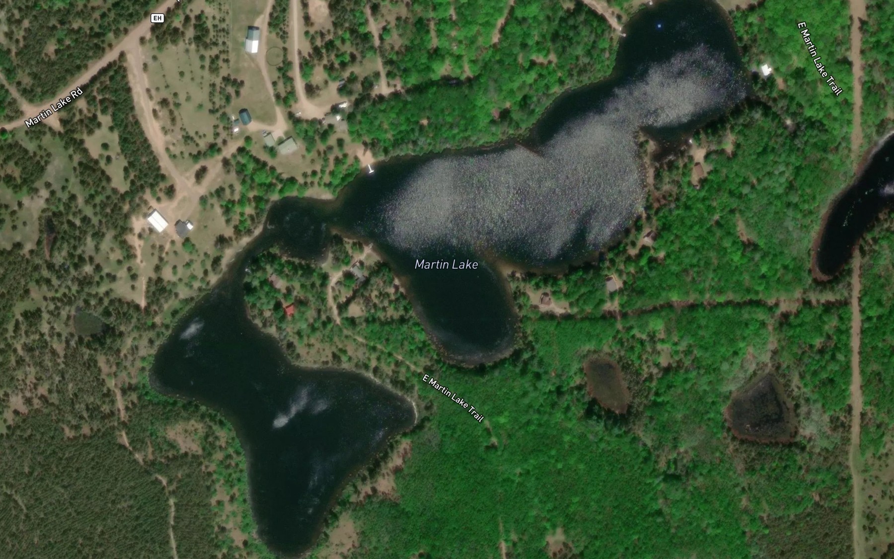 Satellite map of the Martin Lake