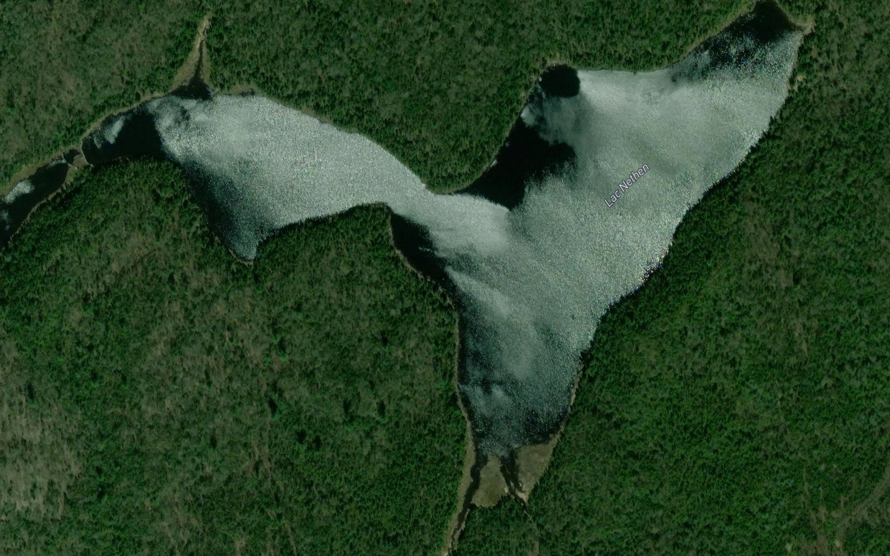 Satellite map of the Lac Nethen
