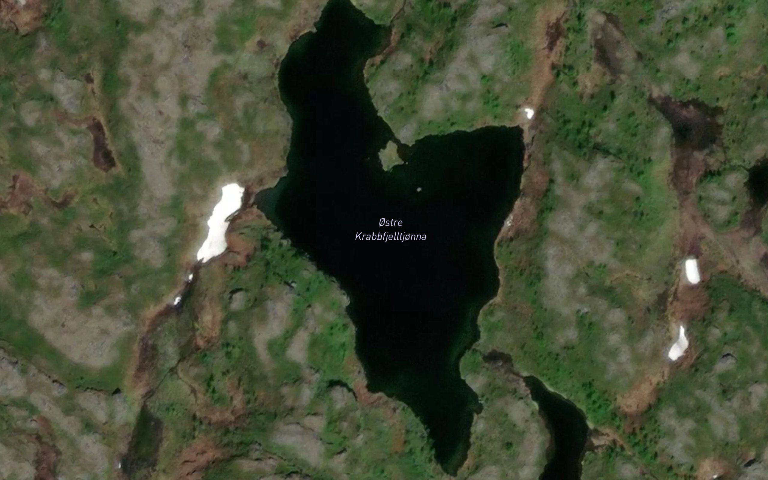 Austre Krabbfjelltjonna
