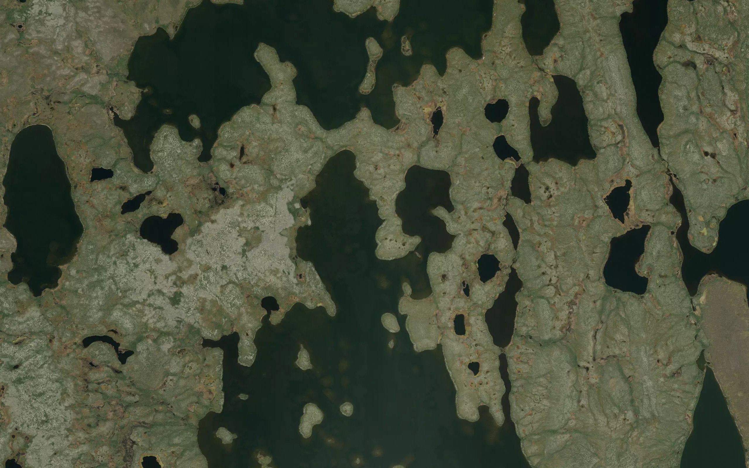 Logan Bay