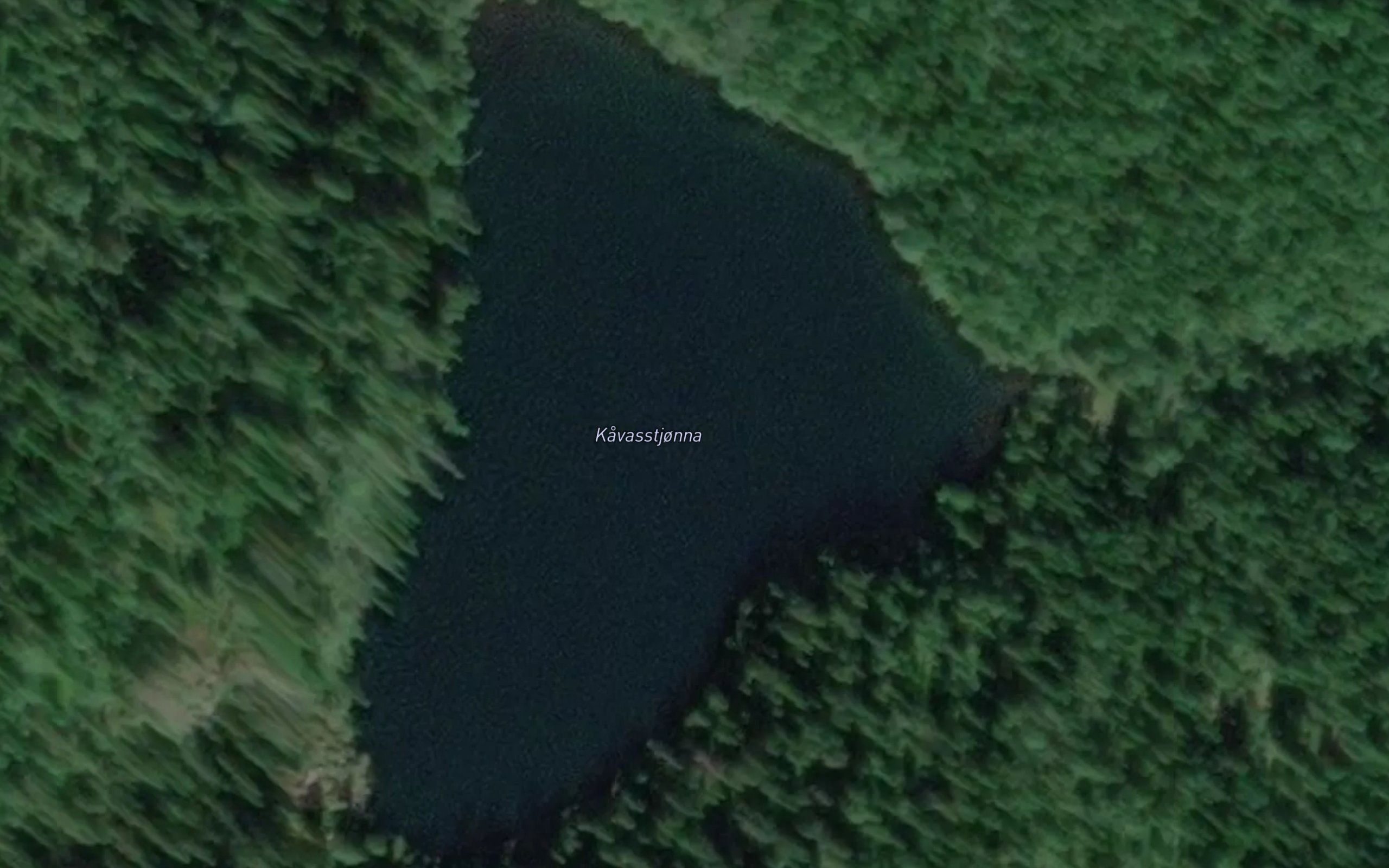 Kovvasstjorna