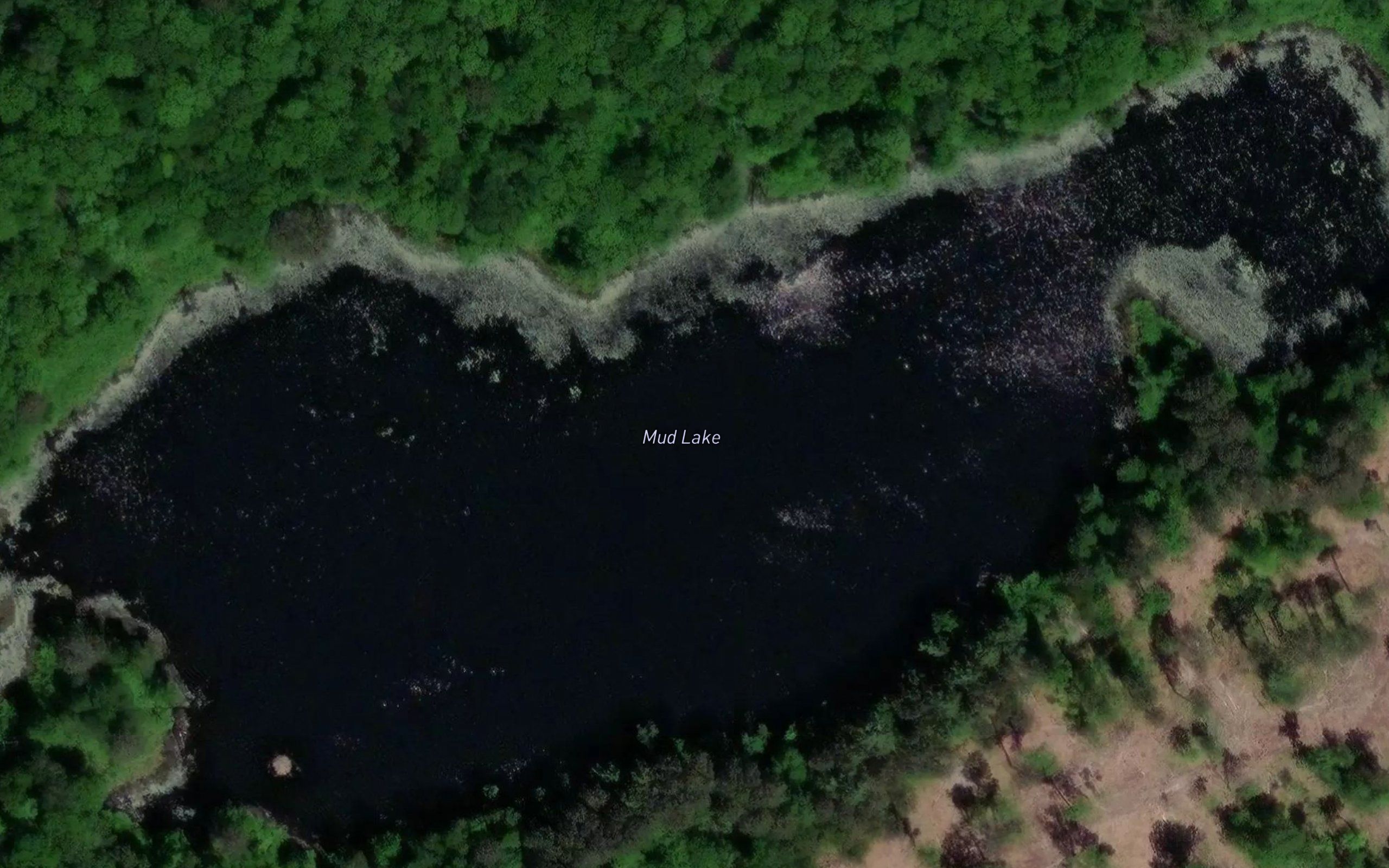 Mud Lake