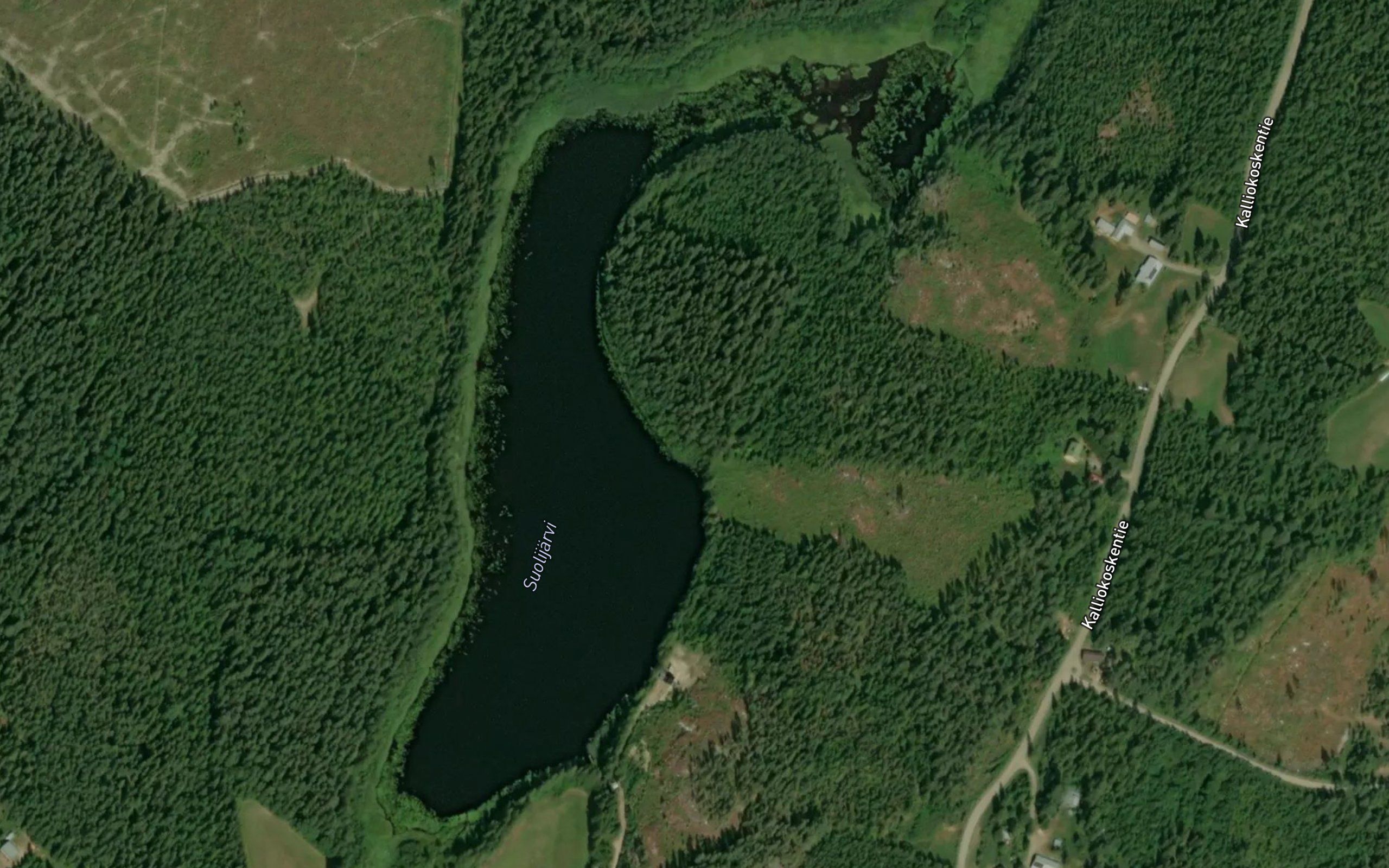 Suolijarvi