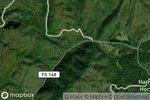 Pounding Mill Branch