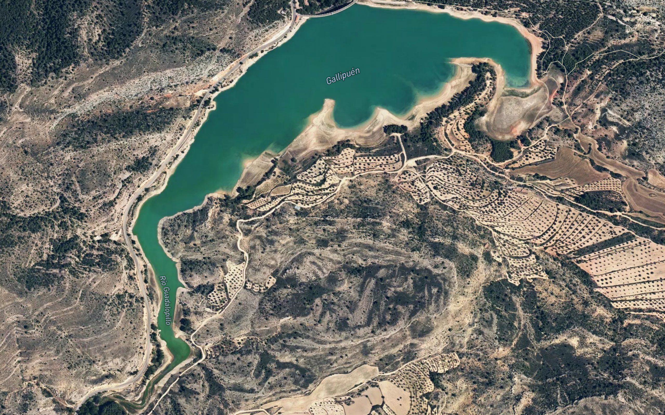 Pantano de Gallipuen