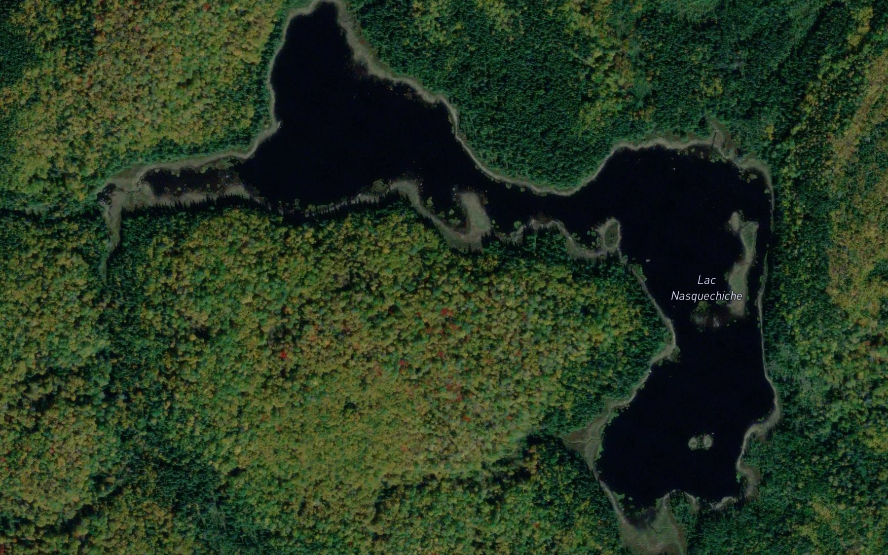 Satellite map of the Lac Nasquechiche