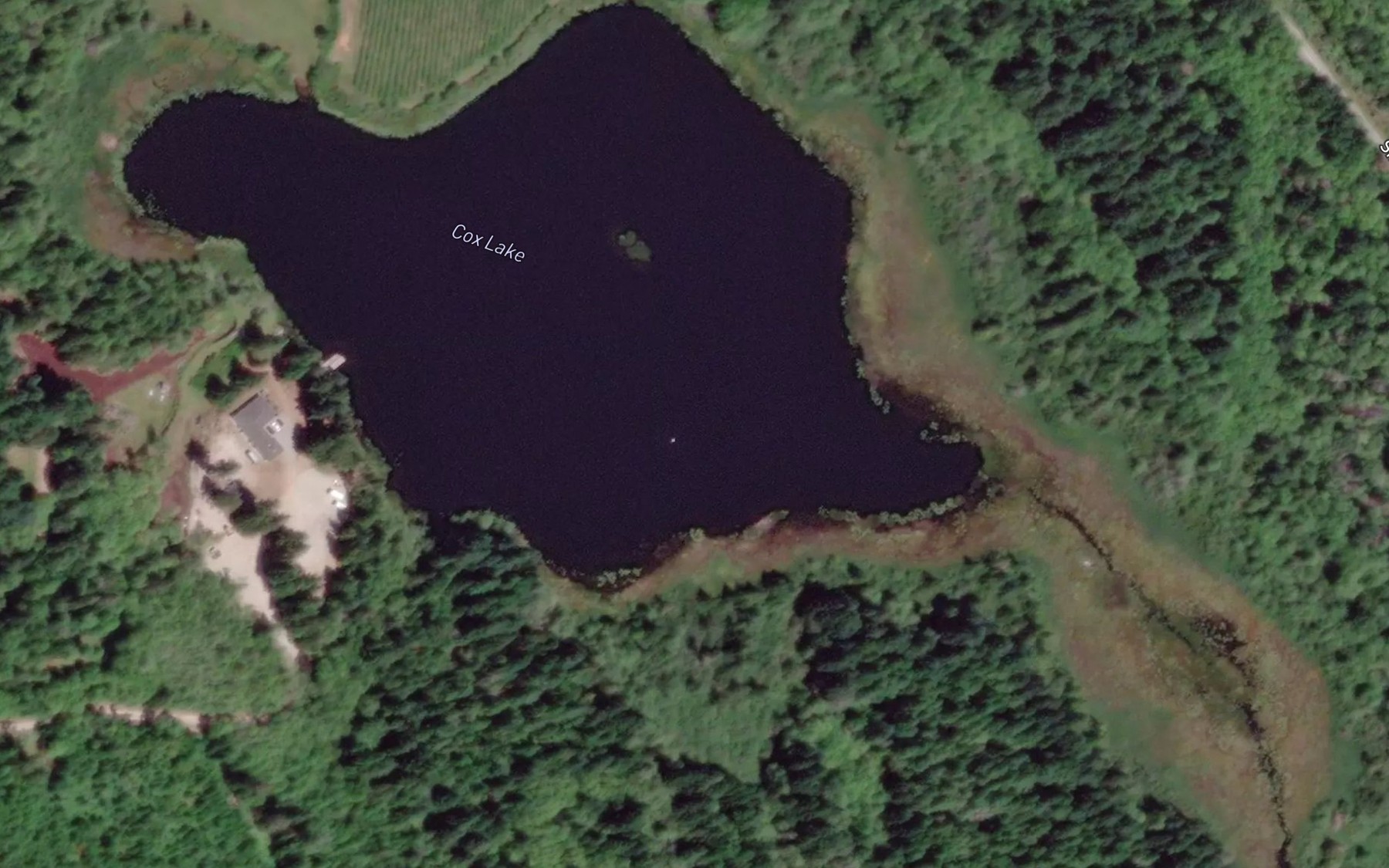 Satellite map of the Cox Lake