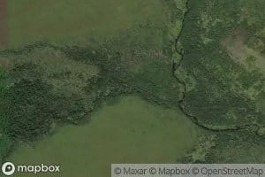 Parallel'nyy