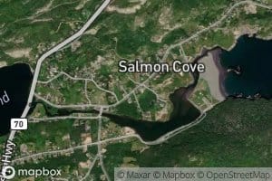 Salmon Cove River