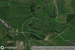 Turtle Slough