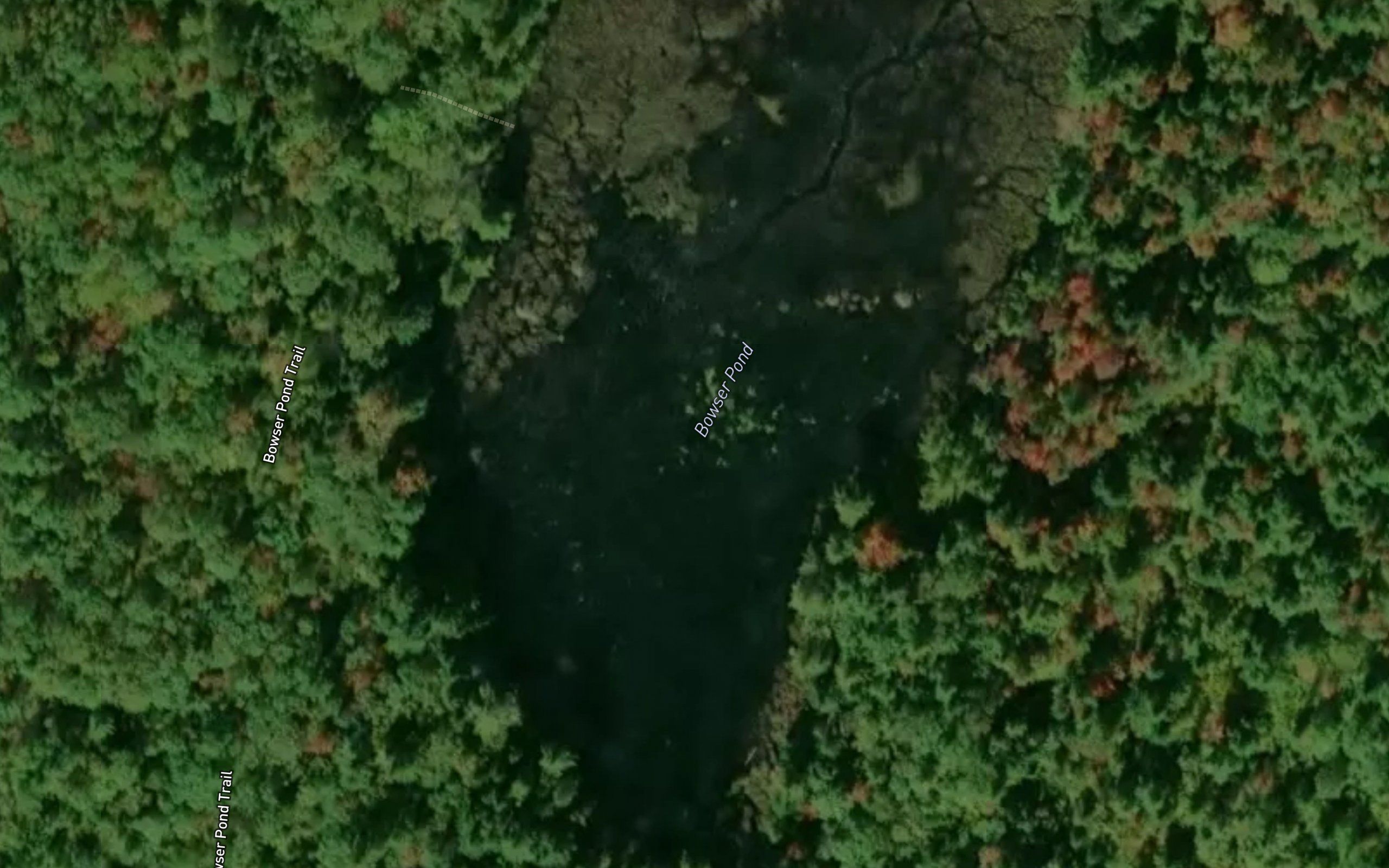 Bowser Pond