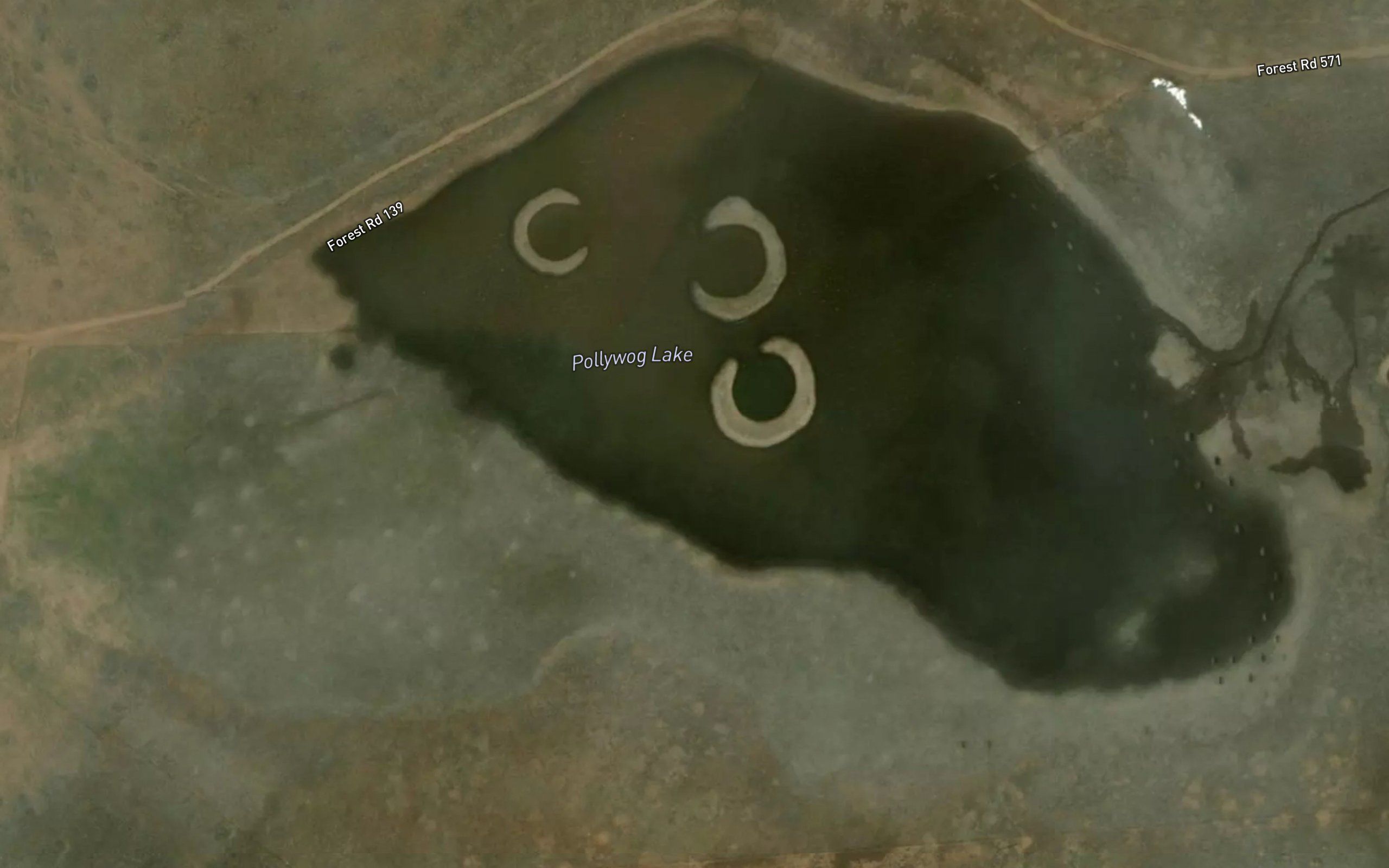 Pollywog Lake