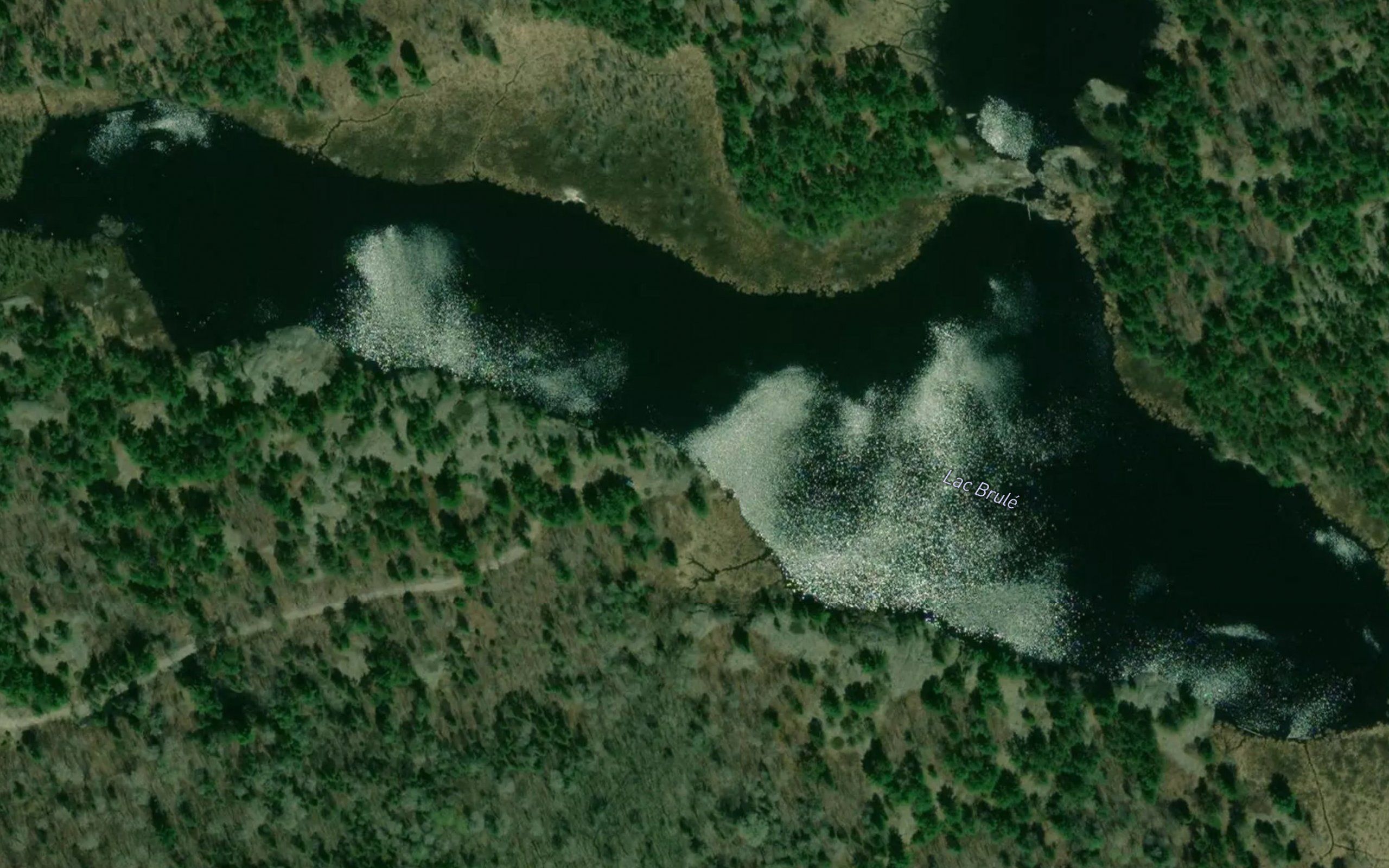 Lac Brule