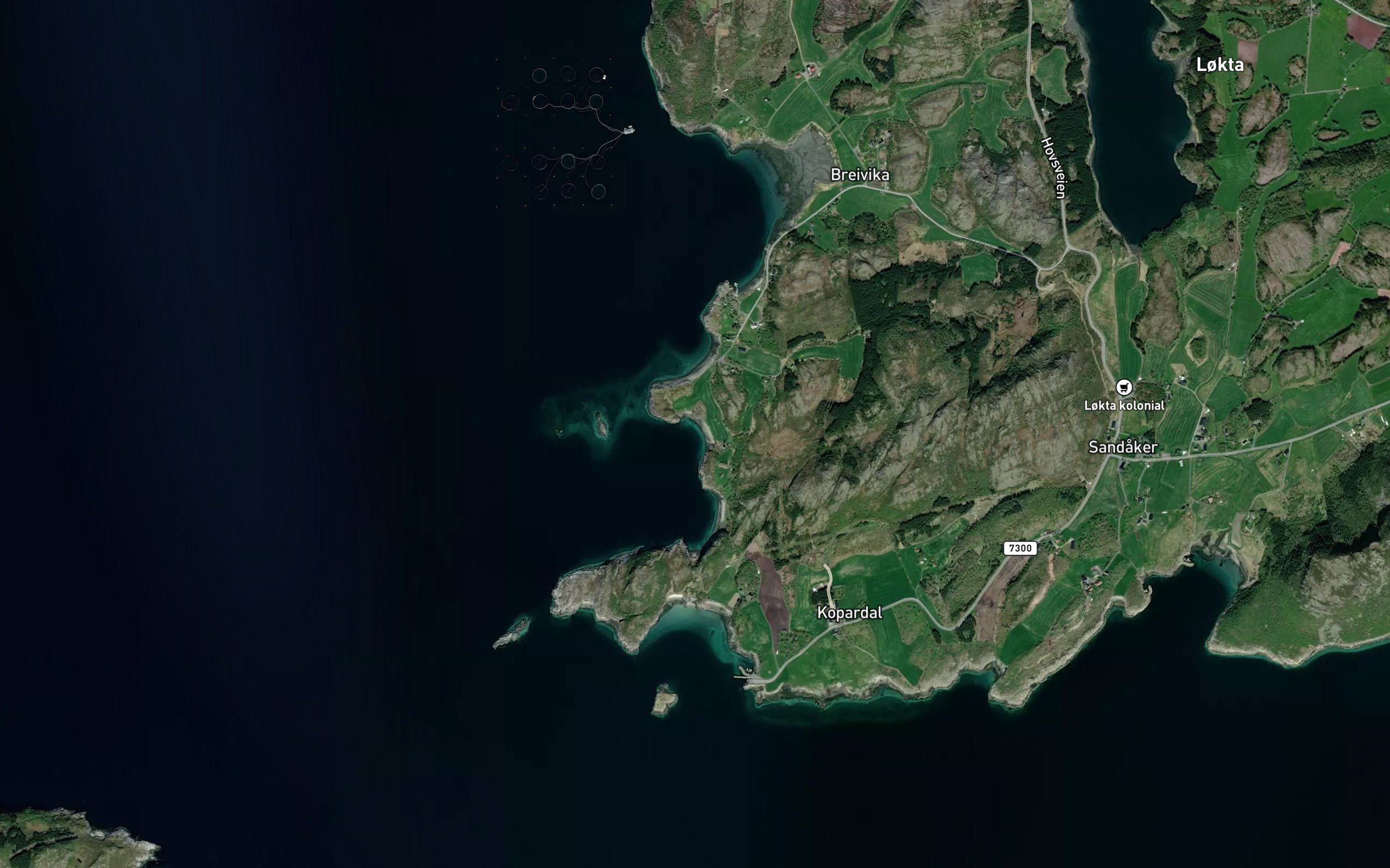 Svinvika