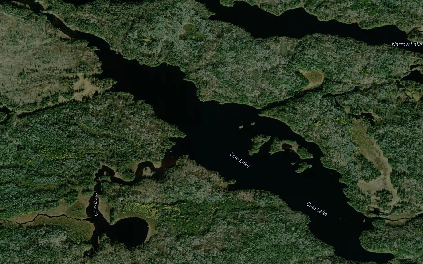 Satellite map of the Cole Lake