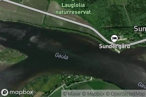 Gaula