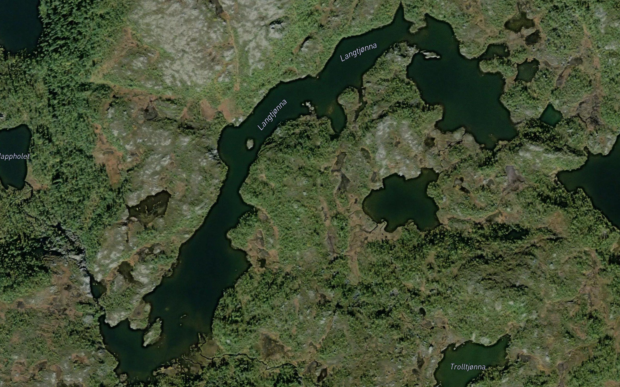 Langtjonna