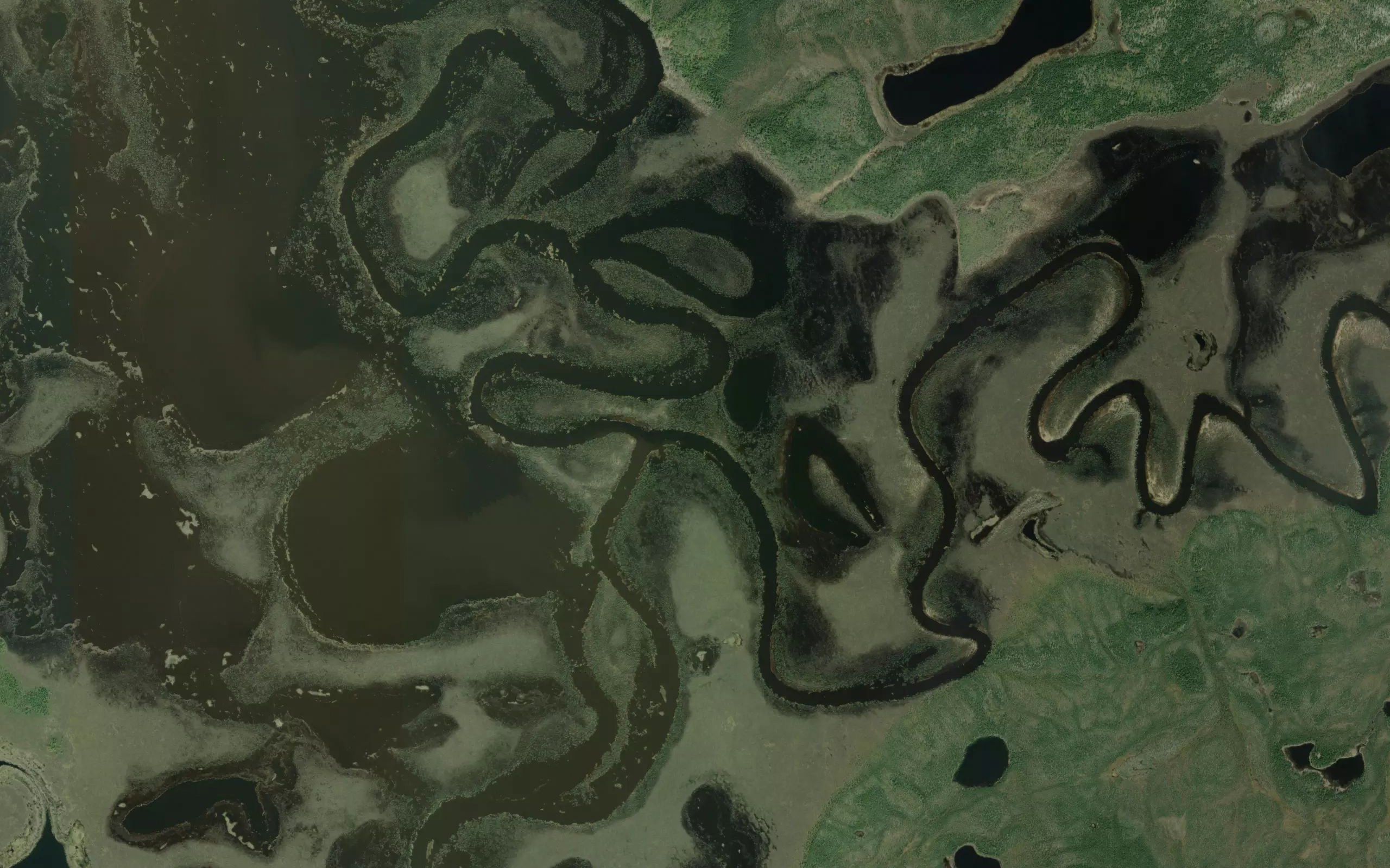 Nayuka River