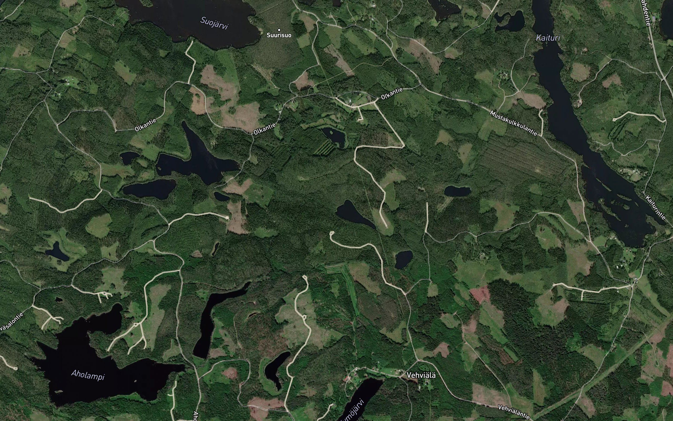 Ronojoki