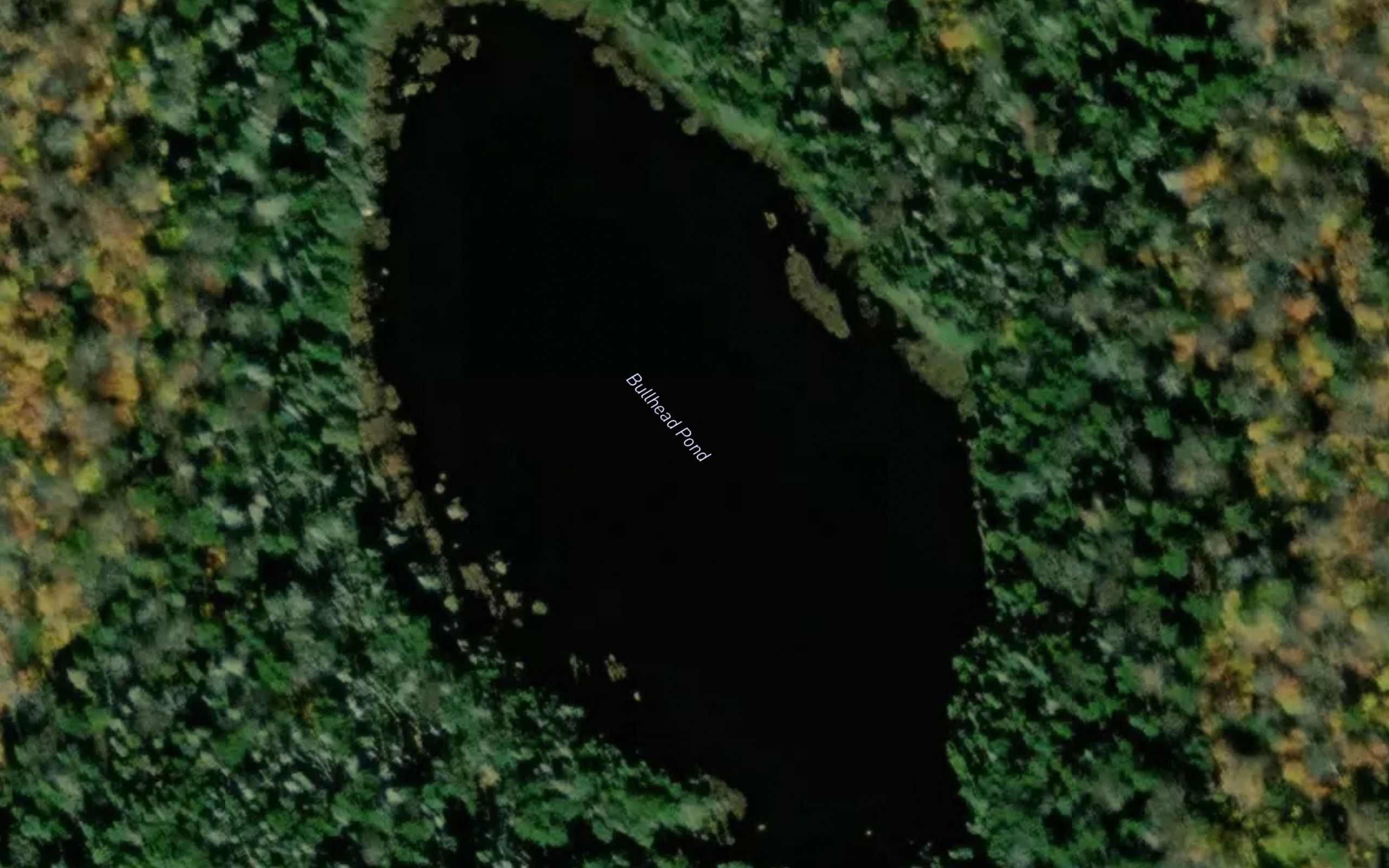 Bullhead Pond