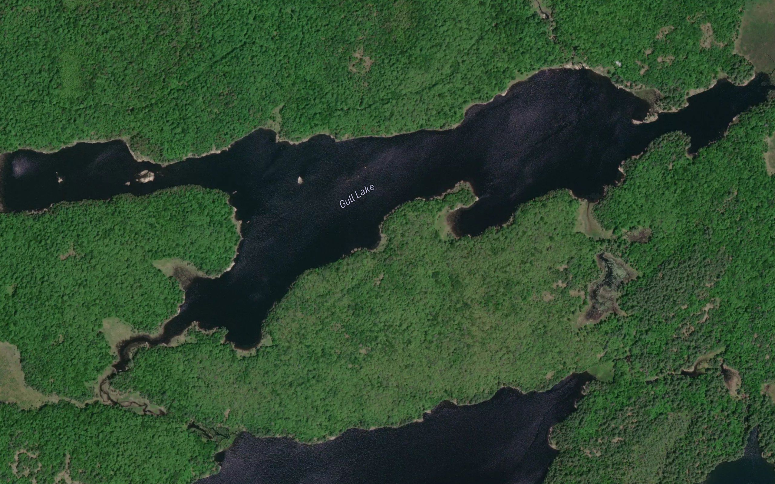 Gull Lake