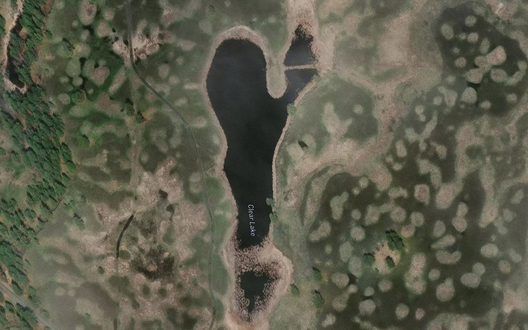 Satellite map of the Clear Lake