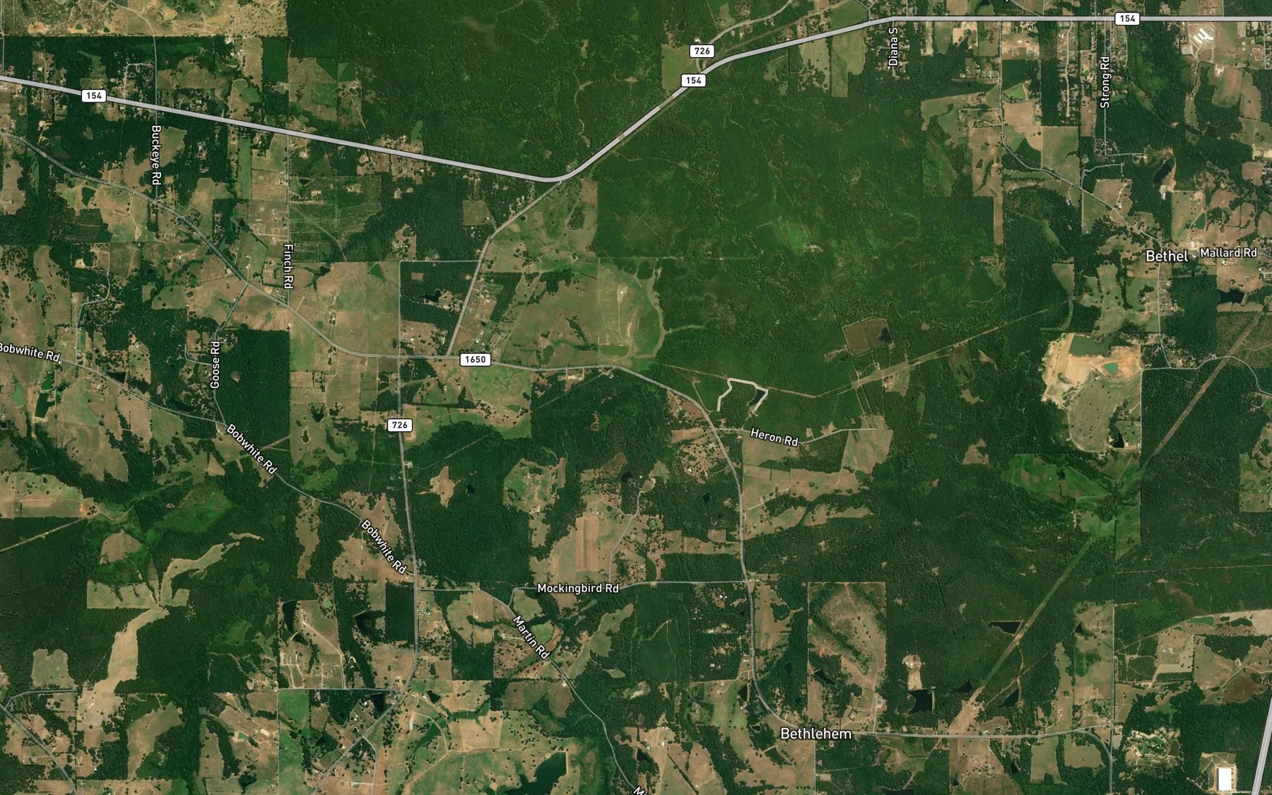 Satellite map of the Bog Creek