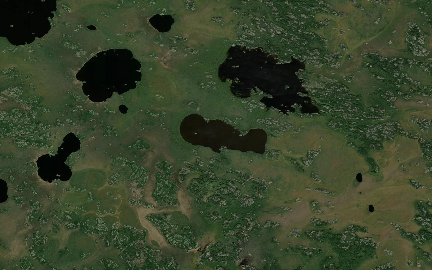 Satellite map of the Oval Lake