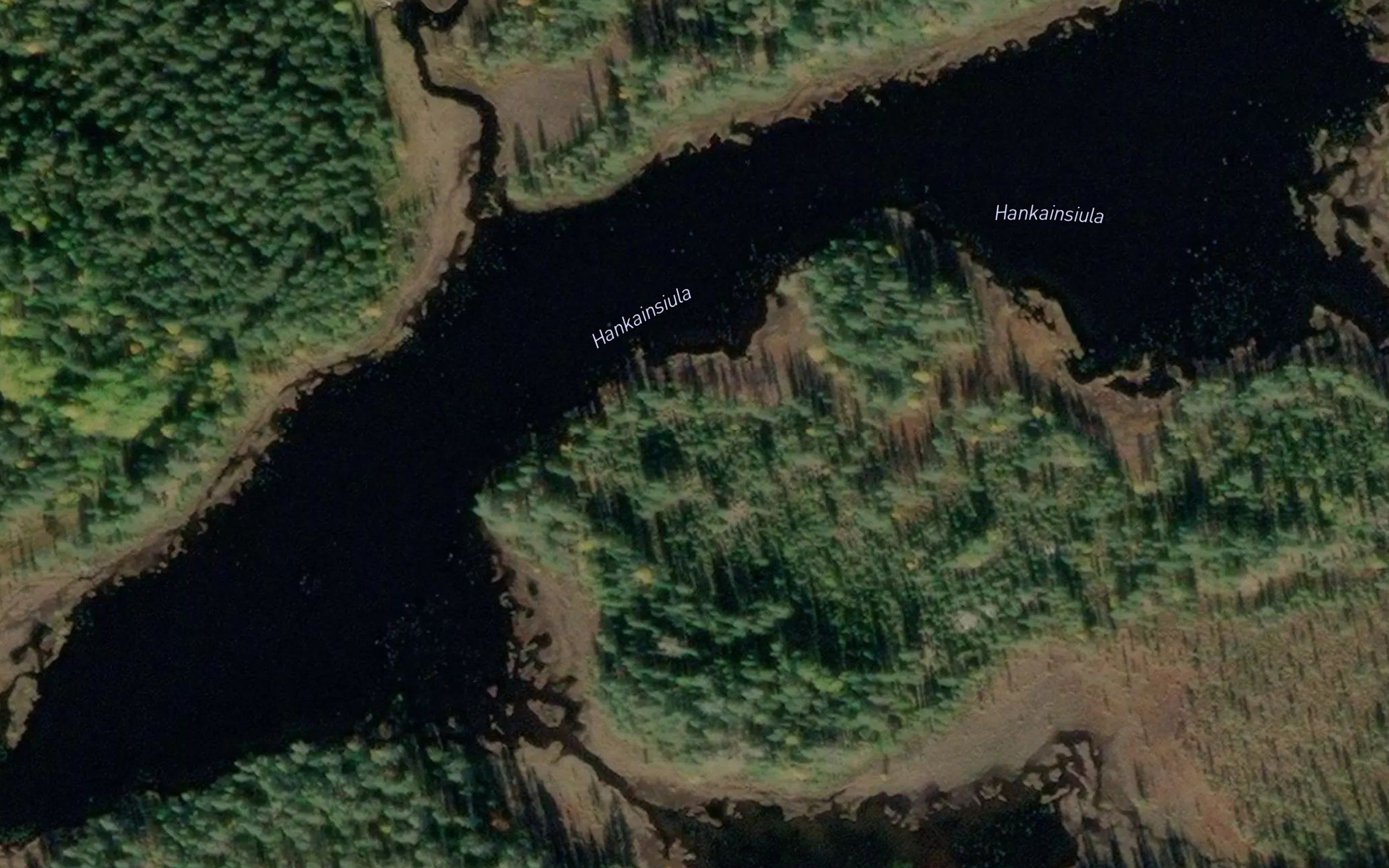 Hankainsiula